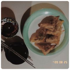 A picture of Vegan Dumplings.