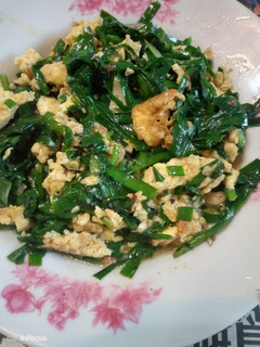 韭菜炒蛋 的食譜成品照片