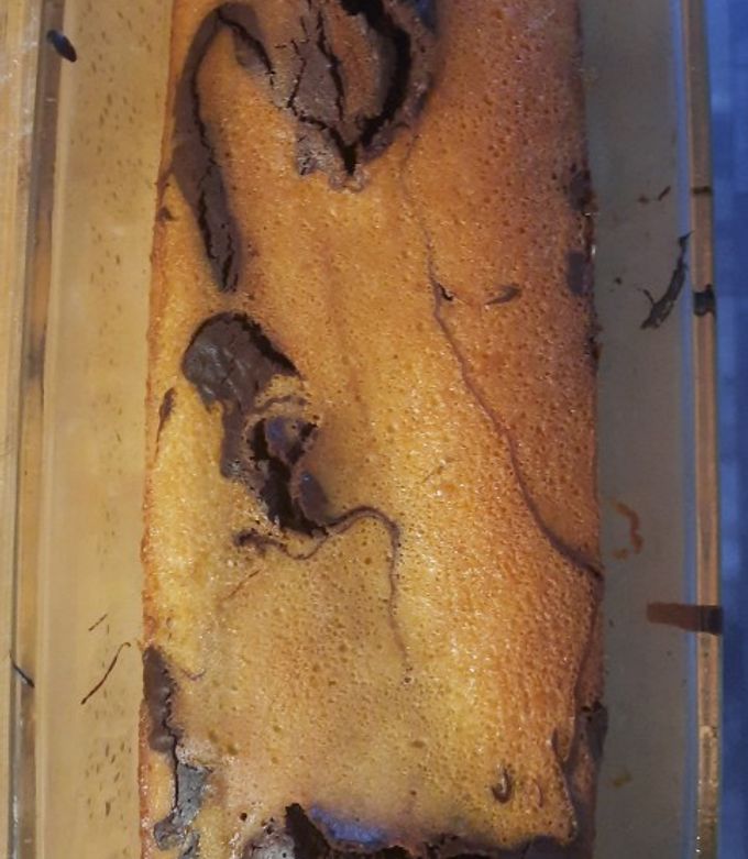 Une photo de Gateau marbré (sans levure)