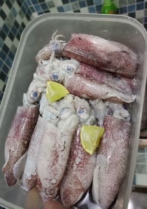 Foto resep Tips Menyimpan Cumi dalam kulkas (tahan 1 bulan)