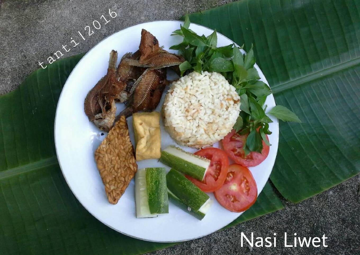 Nasi Levitt
