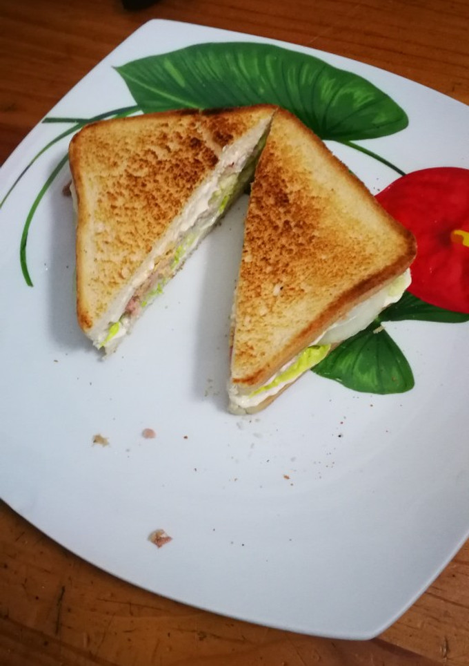 Una foto de Sándwich vegetal de atún