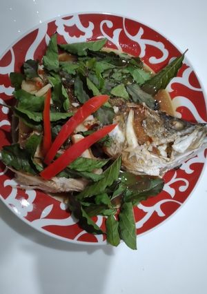 รูปของ ปลาสามรส
