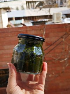 عکسی از دستور دلال