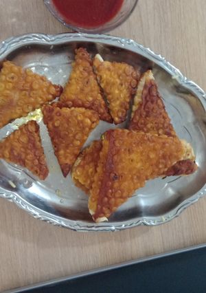 عکسی از دستور سمبوسه مرغ و کدو