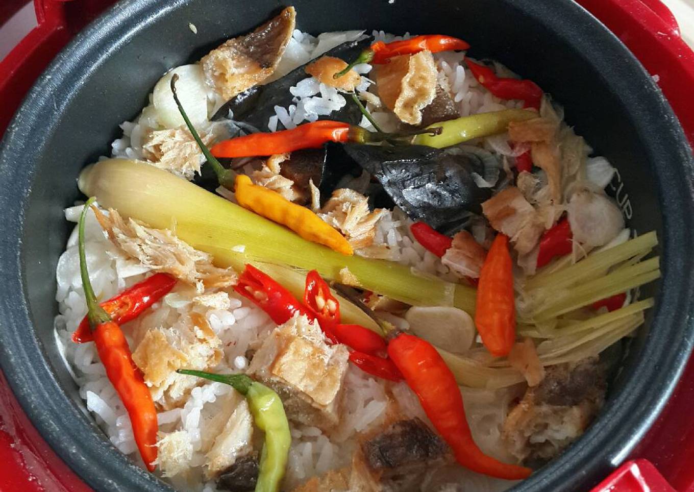 Rice Levit Gatim Bikini Katagian
