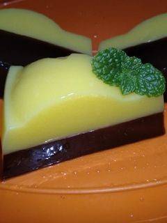Foto resep Puding karamel coklat enak ekonomis
