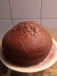 Una foto de Torta rápida de Cocoa
