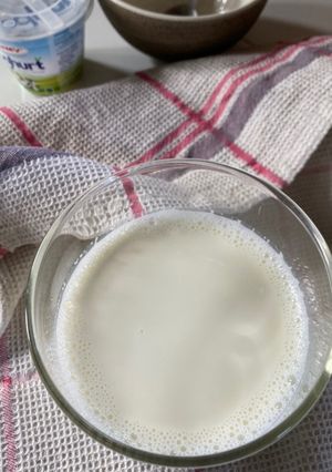 Foto resep Homemade Creamy Yogurt