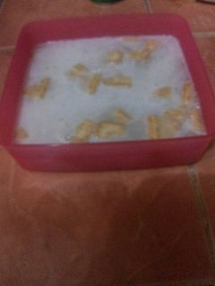 Foto resep Puding oat biskuit (mpasi 1y+)