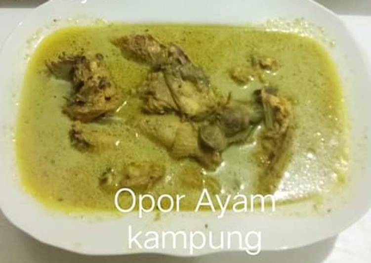 Masakan Populer Opor ayam kampung Praktis Enak