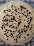 Torta Diplomatica
