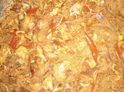 Gambar jamur merang soon
