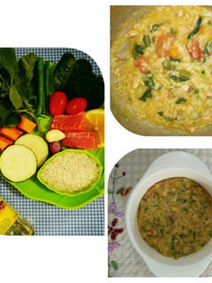 Foto resep MPASI 9m+ bubur tim vege tumis salmon