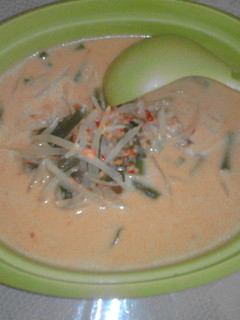 Foto resep Sayur Lodeh Kacang Panjang Pepaya Muda