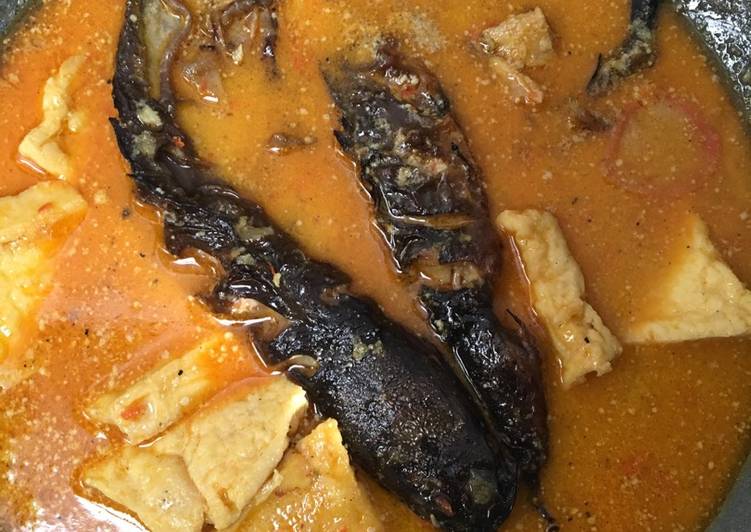 Lodeh lele dab tahu berenang