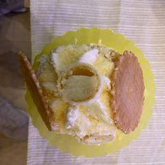 A picture of Homemade Vanilla Ice-cream.
