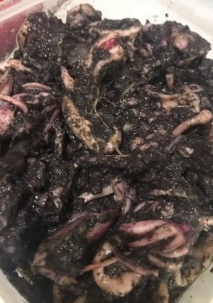 Foto resep Tumis cumi bumbu hitam