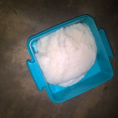 A picture of Pap.