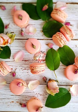 Une photo de Macarons POMPOSA de Pierre Hermé