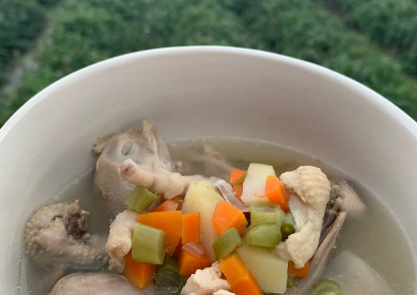 Sup ayam