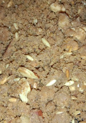 A picture of Panjiri.