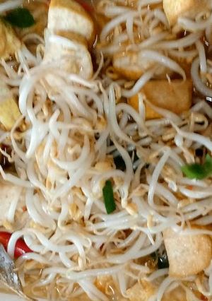 Foto resep Tumis tahu taoge