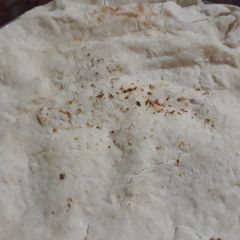 Jowar Ki Roti (Bhakari) A picture of Jowar Ki Roti (Bhakari).