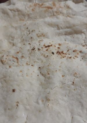 A picture of Jowar Ki Roti (Bhakari).