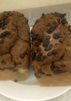 A picture of Chocolate bread with rasins.