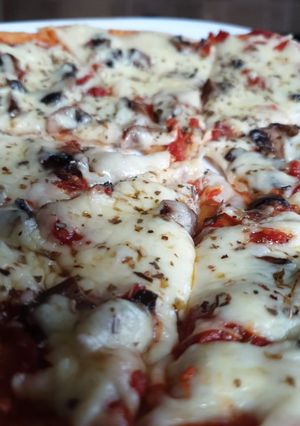 A picture of Cheese and Mushroom Pizza.