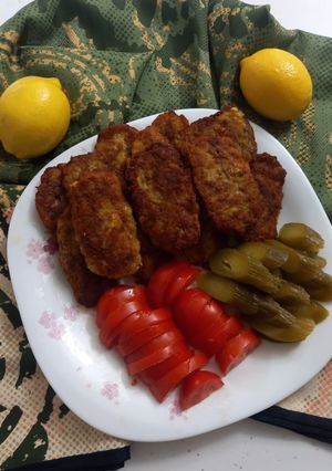 عکسی از دستور شامی کباب