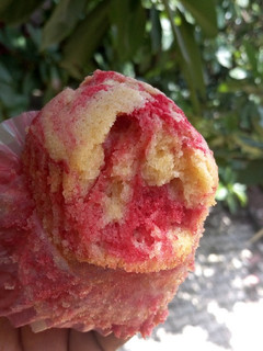 A picture of Splash Cupcakes.