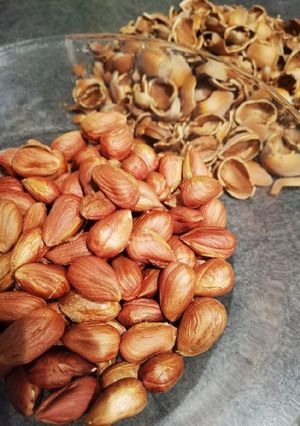 Une photo de Poudre de noisettes maison