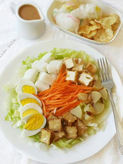 A picture of Indonesian Salad with Peanut Sauce Dressing (Gado-gado).