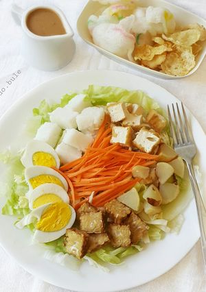 A picture of Indonesian Salad with Peanut Sauce Dressing (Gado-gado).