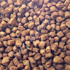 A picture of Cincin.