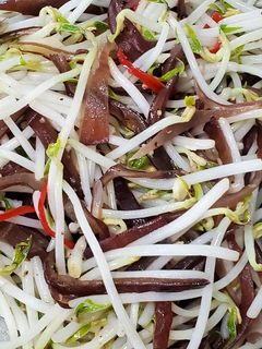辣炒豆芽菜與黑木耳 的食譜成品照片