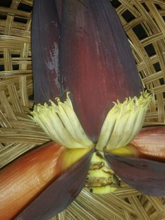 A picture of How to Prepare Banana Blossom/Flower.