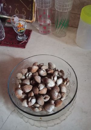 Foto resep Kerang Rebus