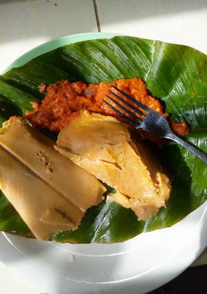 A picture of Moimoi and stew.