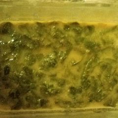 A picture of Drumstick leaves curry.