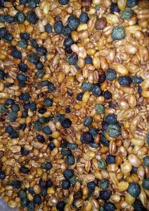 عکسی از دستور گندم برشته