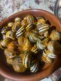 Caracoles en salsa con picante