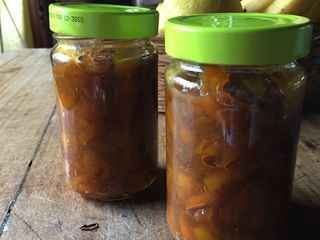 Mermelada dietética de quinotos
