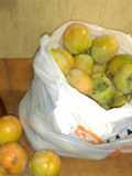 Kakis borrachos de Alcaudete