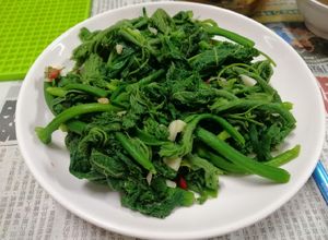 Hình của món Ngọn Bí Xào Tỏi 🌶.