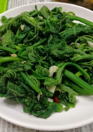 Hình của món Ngọn Bí Xào Tỏi 🌶.
