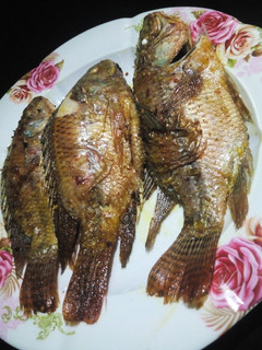 Soyayyen kifi ainihin hoton girkin