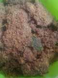 Daging sapi age/koya